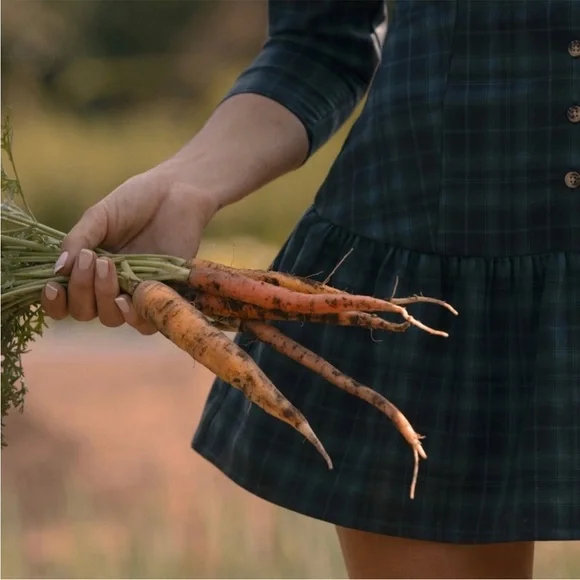 Dairy Boy Meadow dress in Tahoe size 6 NWT - Picture 9 of 16